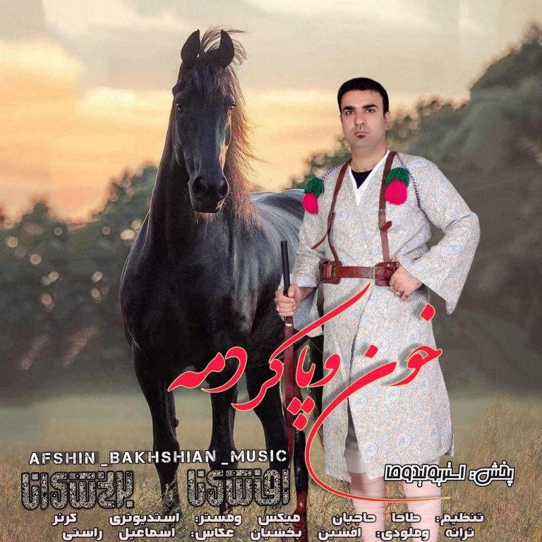 افشین بخشیان خون وپاکردمه